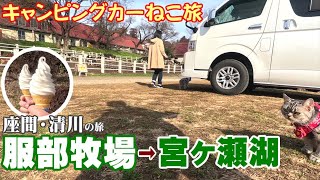 【ねこ旅】座間・清川の旅（最終話）旅の最後は服部牧場でソフト＆宮ヶ瀬湖でダムカレー♪