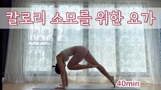 [서리요가#351] 코어강화/ 초중급자를 위한 땀나는 40분 빈야사요가 / 전신요가