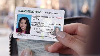 Driver License Hack (Renew Online)