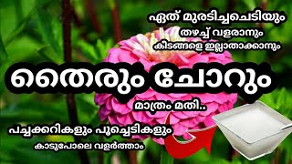 ചോറും തൈരും കൊണ്ട് നമ്മുടെ ചെടികളിലെ കീടങ്ങളെ ഒക്കെ കളയാം|Flowering Fertilizer\u0026Fangiside