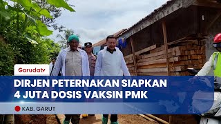 Dirjen Peternakan Antisipasi PMK, Siapkan 4 Juta Dosis Vaksin!