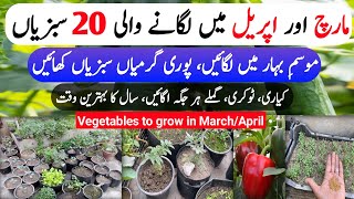 Summer Season Vegetables | March and April Vegetables to Grow At Home | Mar \u0026 Apr Lagne Wali Sabizan