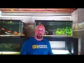How to Quarantine Fish (A Microbiology Professor's Perspective)