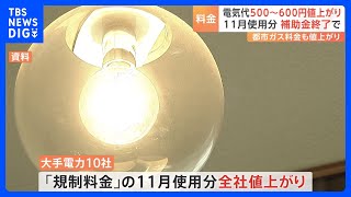 11月の電気代が500円～650円程度値上がりへ　政府の「酷暑対策」補助金終了で｜TBS NEWS DIG