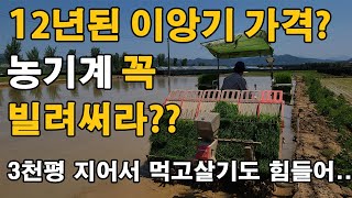 12년 이앙기 얼마일까? 농기계 꼭 사지말고 빌려써라? 벼농사 논농사 농사수익