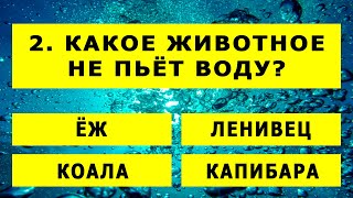 Вы - редкий ЭРУДИТ, если наберете хотя бы 18 из 30 правильных ответов. Тест на эрудицию