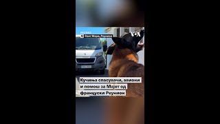 Кучиња спасувачи, авиони и помош за Мајот од француски Реунион