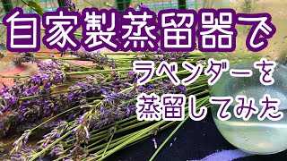 自家製蒸留器で、【ラベンダーを蒸留】してみた