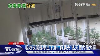 吸收夜間部學生下海! 「假農夫」透天厝內種大麻｜TVBS新聞