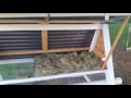 A tour of my A frame chicken coop / tractor for my backyard black australorps chickens. A tour of my A frame chicken coop / tractor for my backyard black australorps chickens.