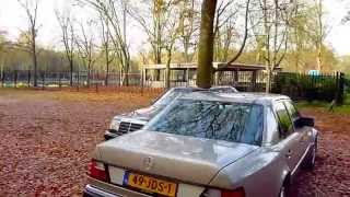 2x  Mercedes 500E.  Autumn check.