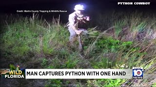 Florida python trapper catches python with his bare hand