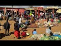 Malawi’s street stalls & markets • A close look from Lilongwe to Mzuzu • Top 10 things to do Malawi