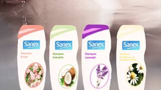 CE 2018-2019 SANEX RECLAME