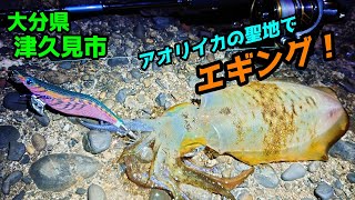 【エギング】流石にココまで来たら釣れる！？【大分県】