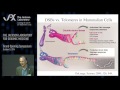 Jack Szostak – Telomeres to Protocells