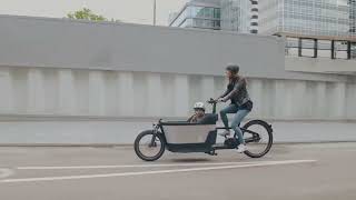 Carqon Cruise cargobike