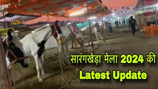 सारंगखेड़ा मेला मे दो दिन पहले पहुँचे एक हज़ार घोड़े | Sarangkheda Horse Market 2024 #chetakfestival