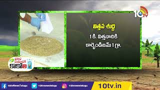 రబీ వరి నారుమడి జాగ్రత్తలు | Paddy Cultivation Precautions | Matti Manishi | 10TV Agri