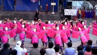 東京よさこい2013　疾風乱舞　２Ｄ