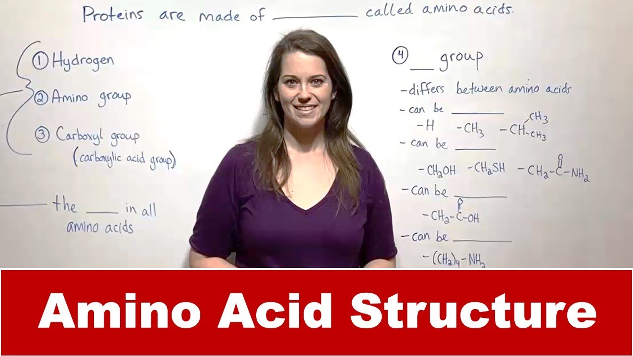 Amino Acid Structure And Bonding - YouTube