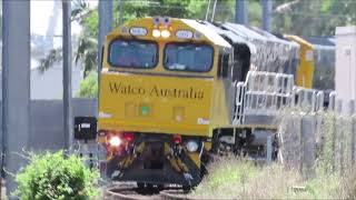 Watco empty grain train at Corinda, Brisbane Australia