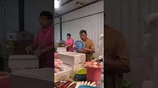 假日 媽媽很悠哉沒有忙碌催促 竹東市場 中彰海龍王 Amazing seafood auction, selling for crazy price, #freshseafood 5 MP4 2 12