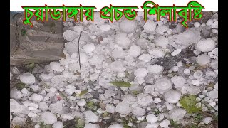 চুয়াডাঙ্গায় প্রচন্ড শিলাবৃষ্টি । chuadanga sila bristi । Haqqani tv