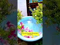 moss rose blooming in water portulaca