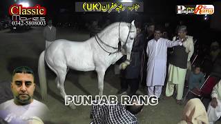 Horse Shahzada / 2nd Day All Pakistan Horse Dance Khari Rajgan Azad Kashmeer / 45