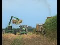 2020 Louisiana Sugar Cane Cutting and Planting 4K