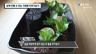 쉽게 만들 수 있는 가정용 천연가습기 / YTN 사이언스