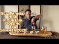 Eco-Farmed High Mountain Oolong Tea Summer 2021 | Eco-Cha Teas