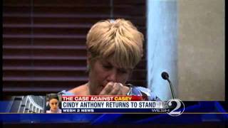 Cindy, Lee Give Emotional Testimony