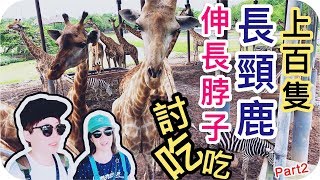 超過200隻長頸鹿伸長脖子討吃吃Part2 | 泰國自助旅行系列Travel VLOG | 全程GoPro拍片 | 彩虹女孩走跳世界的日常SNG | SNG-Lifestyle