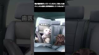 俺が歯医者に行ってトイレだけして帰った話　#猫ミーム #ミーム猫 #猫マニア