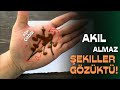 Ahının Bedeli Ağır Olacak! İSİMLİ  El Falında Şok Gerçekler!