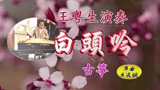 《白頭吟》王粤生古箏演奏