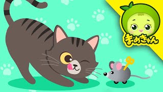 こねこソング | どうぶつのうた | 子供向け | ねこのうた | cat song | まめきゅん MAMEKYUNN