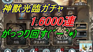 【クリプトラクト】神獣光臨ガチャ16000連越え｡虹クリいっぱいだすんご～【AP回復薬もほちぃ】