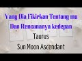 Taurus • fun reading tarot • energy kolektif • timeless • Love story apa yang dia fikirkan