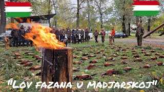 Prigonski lov na Fazana u Madjarskoj/Driven Pheasant hunt in Hungary | E181