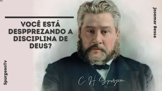 Você está desprezando a disciplina de Deus? | C. H. Spurgeon ( 1834 - 1892 )