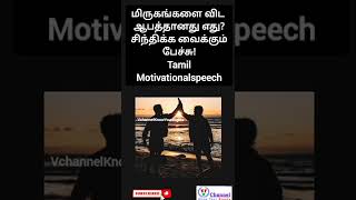 மிருகங்களை விட ஆபத்தானது எது? |Tamil Motivationalspeech💪💪💪| Vchannel Know Your Right