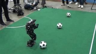 【IRC2016】Humanoid Robot Sports自律部門:サッカー03