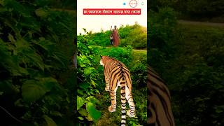 মা আমাকে বাঁচাল বাঘের হাত থেকে🐅#shorts#shortvideo#viralvideo#trending#youtubeshorts#funny#comedy