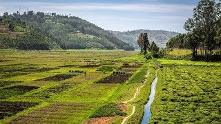 ഭൂമി വാങ്ങുമ്പോൾ ശ്രദ്ധിക്കേണ്ട കാര്യങ്ങൾ  : ജ്യോതിഷ കുലപതി ജയകുമാർ ശർമ്മ