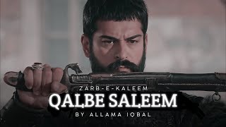 Zarb-e-Kaleem Jihad | Jawab-e-Shikwa | Allama Iqbal | Urdu poetry | Ertugrul X Osman