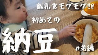 【育児】離乳食モグモグ期、初めて納豆を食べる！【生後8ヶ月】【弟】