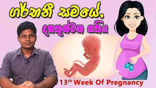 Pregnancy 13th Week | Sinhala Medical Review | අම්මයි බබයි